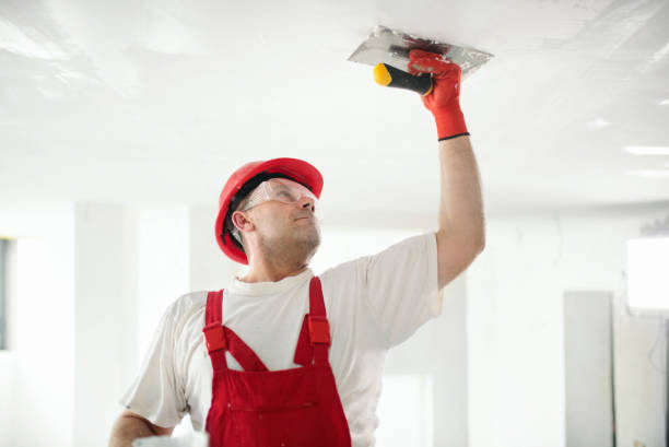 Best Ceiling Drywall Installation  in Egan, LA